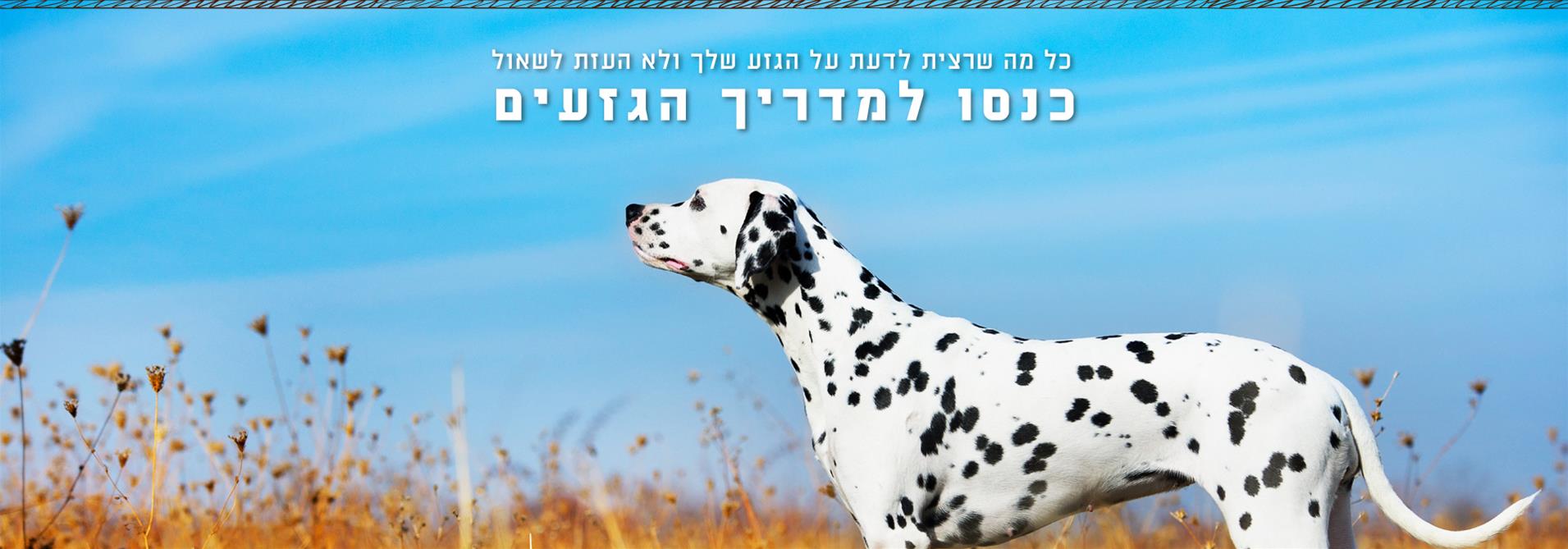 מדריך גזעי כלבים